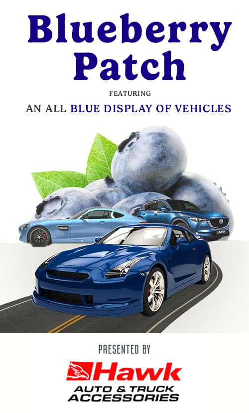 Blueberry Patch featuring an all blue display of vehicles 